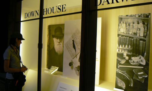 Tour privato del Museo di Storia Naturale con guida italiana