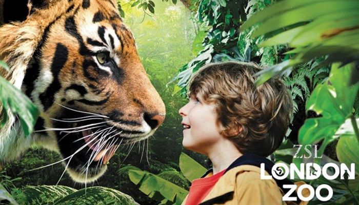 Biglietti Zoo di Londra