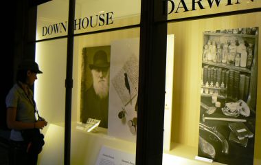 Tour privato del Museo di Storia Naturale con guida italiana