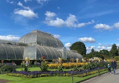 Palm House, Kew Gardens