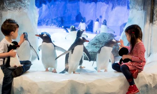 Acquario Londra