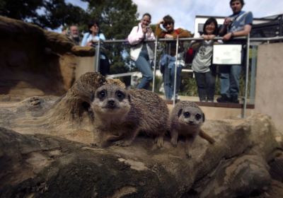 Zoo di Londra