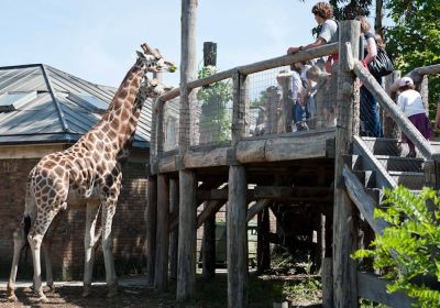 London Zoo